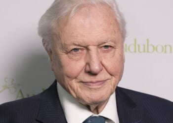 Widow thought she was dating David Attenborough online – she lost £12k | UK | News