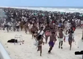 Florida police reveal mundane noise which sparked chaos at beach during spring break