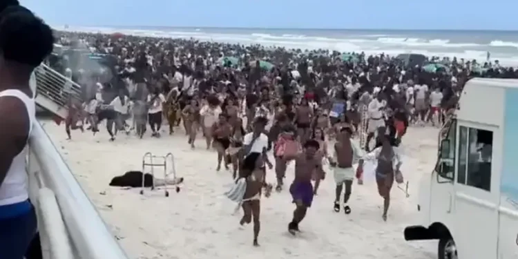 Florida police reveal mundane noise which sparked chaos at beach during spring break