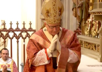 PHOTOS: Dutch Cardinal Eijk celebrates first public Traditional Latin Mass