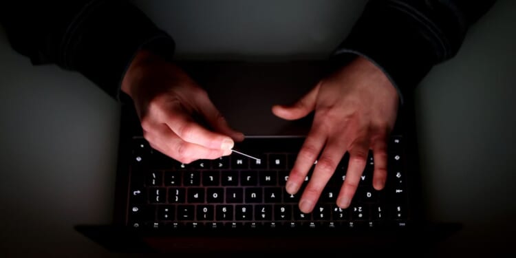 Rhonda Montgomery flew 300 miles to confront fraudster after being scammed out of £17,000