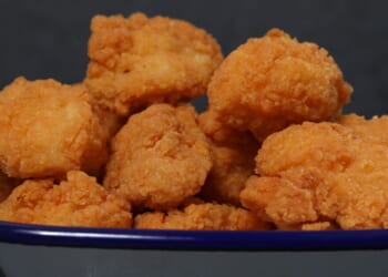 Criminal migrant beats deportation because his son hates foreign chicken nuggets | UK | News