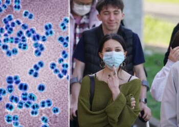 Fears grow as Canterbury meningitis outbreak reaches 29 cases, UKHSA confirms
