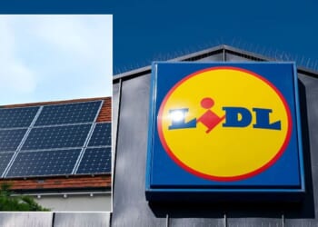 Lidl to sell solar panels in Net Zero 'roll out' as households could save £110 a year in energy bills