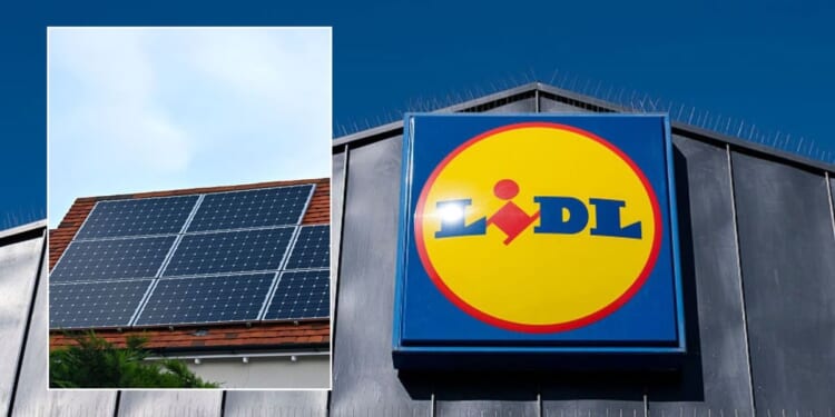 Lidl to sell solar panels in Net Zero 'roll out' as households could save £110 a year in energy bills