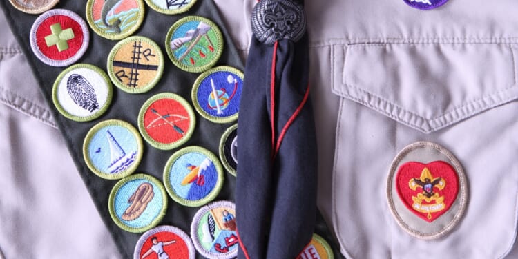 Everything In Society Has Been Feminized, And It’s Been A Total Disaster. Here’s Proof.