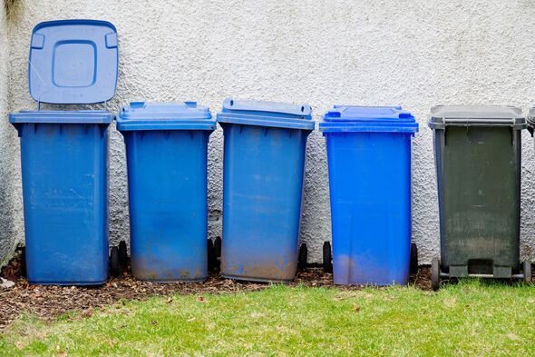 Row of wheelie bins Row of wheelie bins