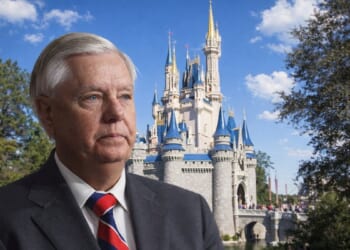 Meet Senator Lindsey Graham, The Saddest Disney Adult