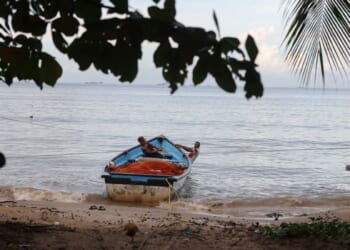 A Path to Defeating the Drug Cartels in Caribbean