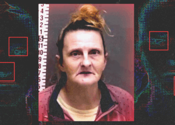 AI facial recognition error led to months in jail for Angela Lipps