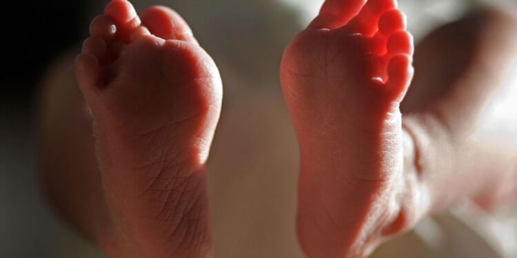 Abortion up to birth voted though — supported by only 1% of Brits | UK | News