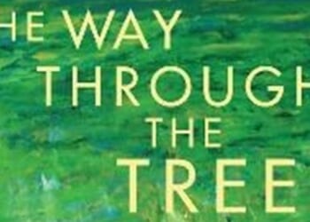 An introduction to faith development by Sarah Brush