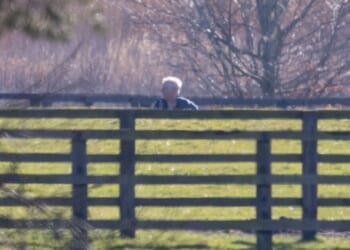 Andrew walks dogs near Marsh Farm as he's seen for first time since ar | Royal | News