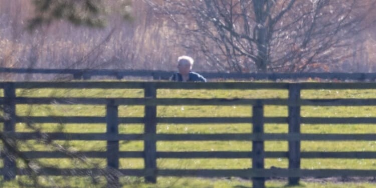 Andrew walks dogs near Marsh Farm as he's seen for first time since ar | Royal | News