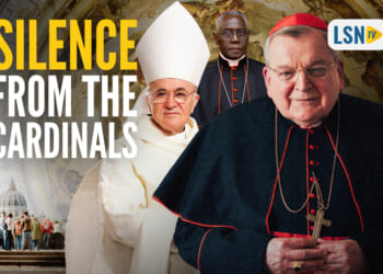 Archbishop Viganò calls Cardinals Burke, Müller, and Sarah 'controlled opposition'