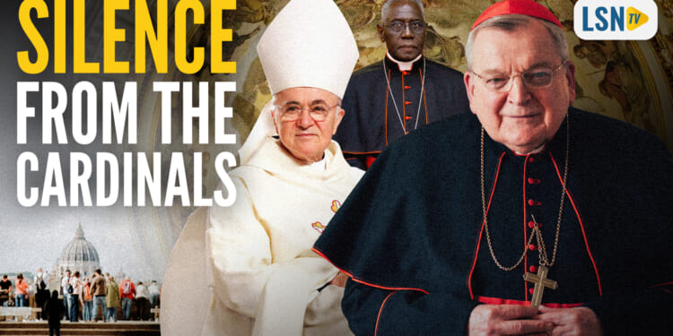 Archbishop Viganò calls Cardinals Burke, Müller and Sarah ‘controlled opposition’