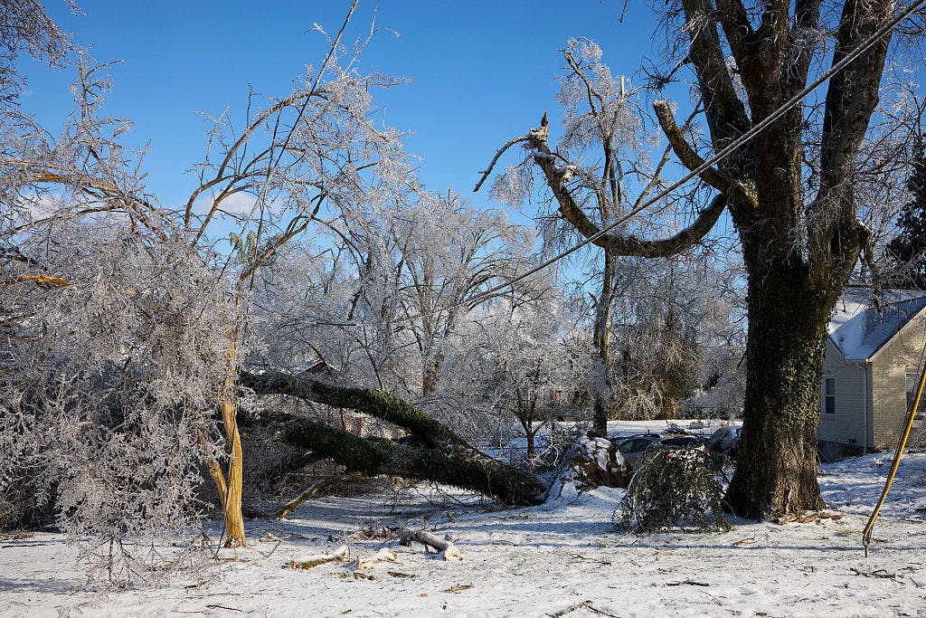 Damaged ice-covered trees and downed power lines during a winter storm in east Nashville, Tennessee, US, on Monday, Jan. 26, 2026. US power grids are expected to grapple with unprecedented seasonal demand and the threat of blackouts after a damaging winter storm coated parts of the South and Mid-Atlantic in ice - leaving brutal cold in its wake.