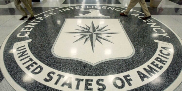 Biden CIA listed 'motherhood and homemaking' in report about violent extremism