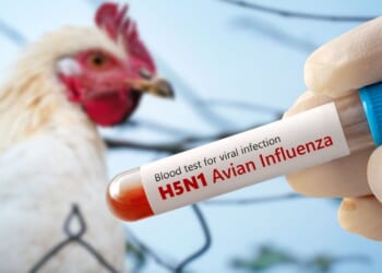 Bird flu outbreak fears near Yorkshire with surveillance zone declared | UK | News