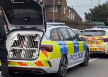 Birmingham stabbing LIVE: Armed cops swarm Alum Rock area after incident near school | UK | News