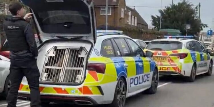 Birmingham stabbing LIVE: Armed cops swarm Alum Rock area after incident near school | UK | News