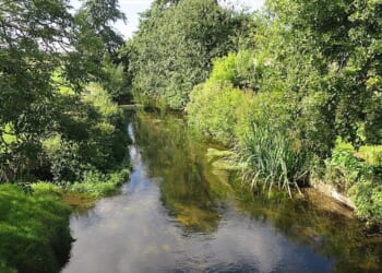 Bishop of Norwich supports Bill to protect rare chalk streams