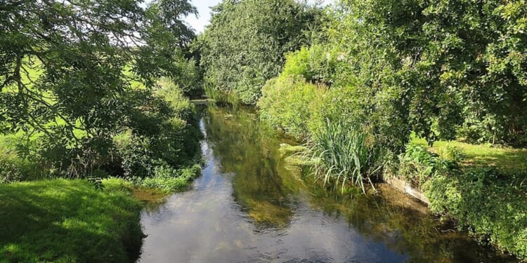 Bishop of Norwich supports Bill to protect rare chalk streams