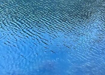 Blank Arcades, album by Andrew Rumsey