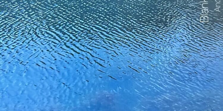 Blank Arcades, album by Andrew Rumsey