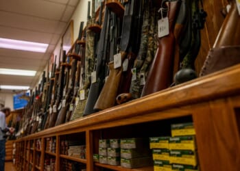 Blue State Dems Plow Ahead With Dozens Of Gun Control Bills