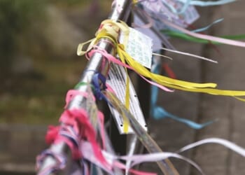 Closure of Church’s Interim Support Scheme will not leave survivors unsupported, National Safeguarding Team says