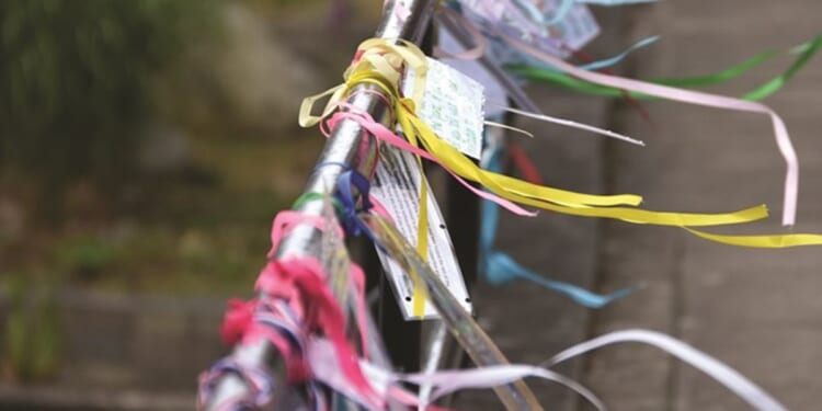 Closure of Church’s Interim Support Scheme will not leave survivors unsupported, National Safeguarding Team says