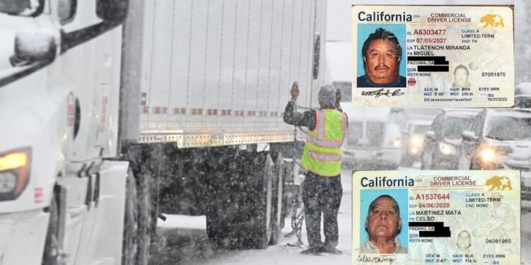Congress Turns Spotlight on Deadly Crashes Involving Illegal Immigrant Truckers
