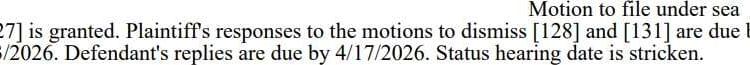 Court Allows Submarine Filings