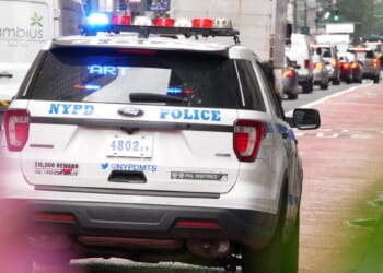 Deciphering New York’s Persistent Violence And Public Disorder