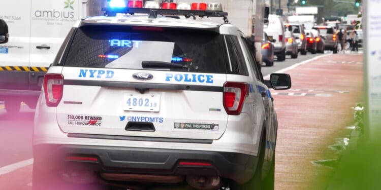 Deciphering New York’s Persistent Violence And Public Disorder