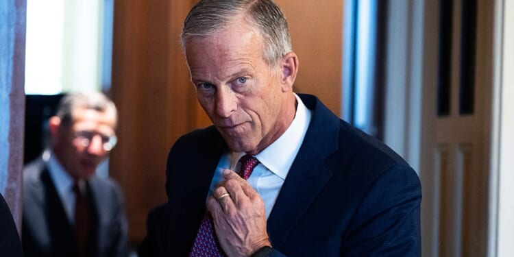 Does Anyone Know What John Thune Actually Does?