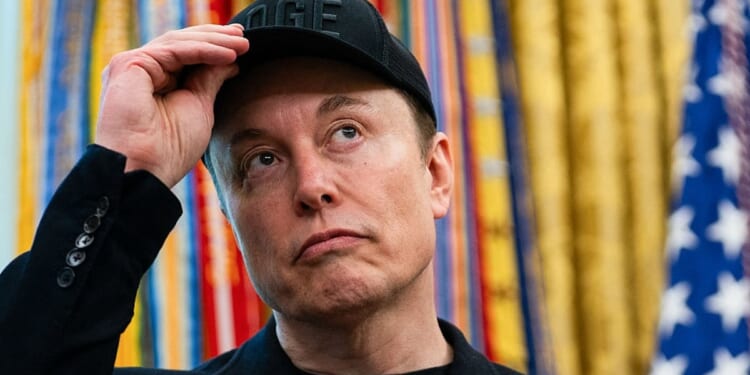 Elon Musk Offers To Pay TSA Salaries As DHS Shutdown Drags On