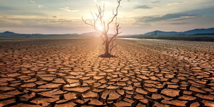 Environmental care is biblical. Prophets often tie damage to moral failure