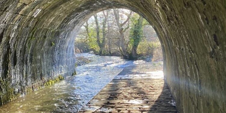 Faith for Holy Places