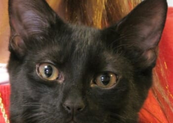 Friday the Thirteenth - A Brief History of Why You Might Feel a Little Uneasy Today – RedState