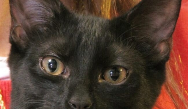 Friday the Thirteenth - A Brief History of Why You Might Feel a Little Uneasy Today – RedState