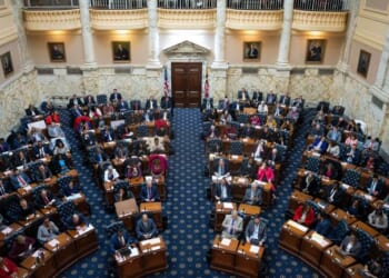 GOP Delegate Torches VA Dems for Putting Violent Illegals on the Streets – 'Gaslight Much?' – RedState