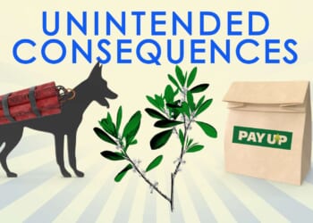 Great Moments in Unintended Consequences: (Vol. 21)