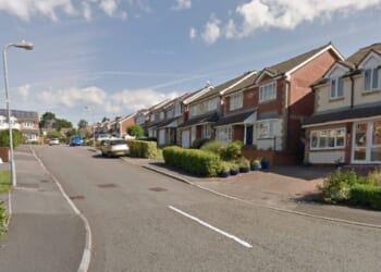 Hero UK driver saves teenage girl from being kidnapped | UK | News