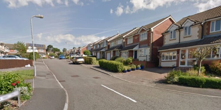 Hero UK driver saves teenage girl from being kidnapped | UK | News