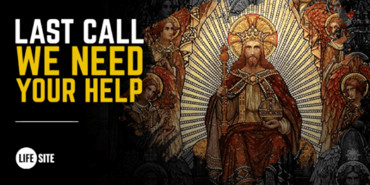 Last chance! Will you help us over the finish line?