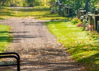 Law Commission responds to lack of burial spaces