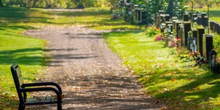 Law Commission responds to lack of burial spaces