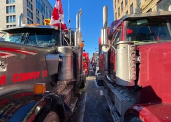Legal group takes action on behalf of Freedom Convoy leaders to halt $290 million lawsuit